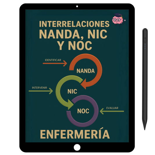 Interrelaciones N-N-N 2024 a 2026 (PDF)