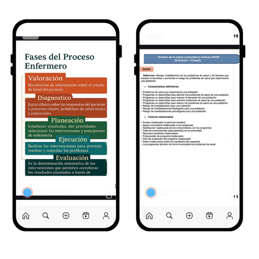 Interrelaciones N-N-N 2024 a 2026 (PDF)